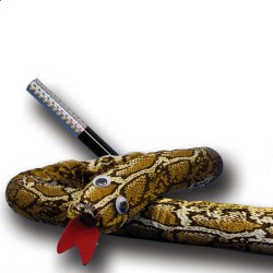 bacchetta in serpente, wand to snake