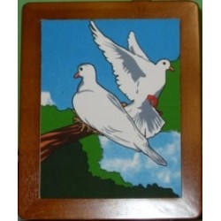 colomba dal quadro, dove frame, tortora dalla cornice