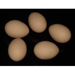 uovo in lattice beige, pelle di uovo, latex egg