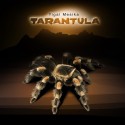 tarantula con dvd originale yigal mesika