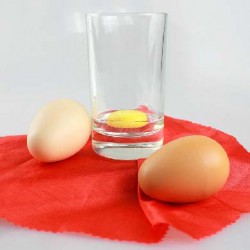 Silk to egg, foulard in uovo