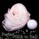 Perfect Silk to Ball Ver3 White cover By JL originale