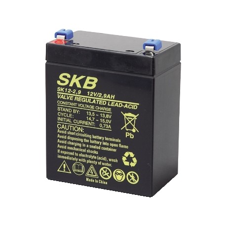 batteria al piombo ricaricabile 12v 2,9A